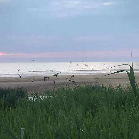 Teeveere Sea House Nyaraló Treimani