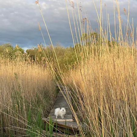 Feriehus Teeveere Sea House
