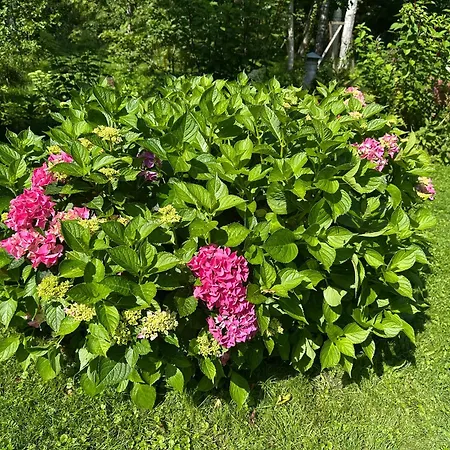 Feriehus Teeveere Sea House