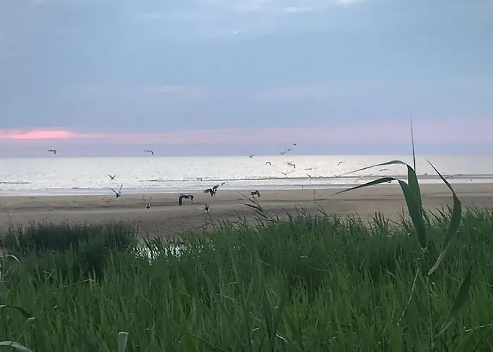 Teeveere Sea House Дом отдыха Treimani