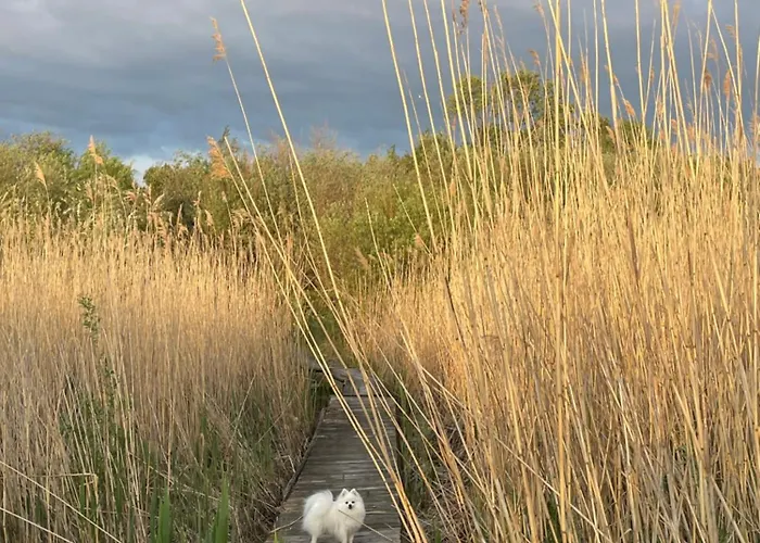 Casa de Férias Teeveere Sea House