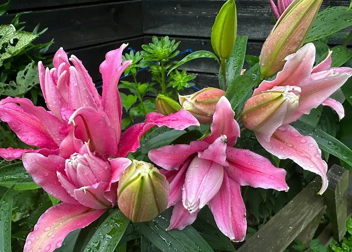 Teeveere Sea House 度假居