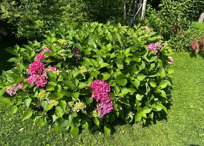 度假居 Teeveere Sea House