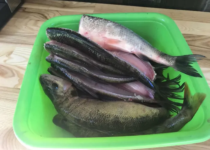 Teeveere Sea House Casa de Férias *